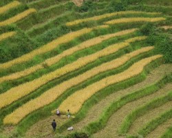 Sapa and around - September 16th to 20th 2016