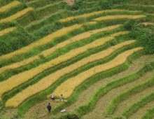 Sapa and around - September 16th to 20th 2016