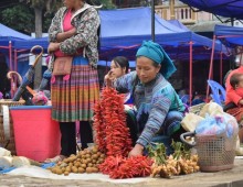 Bac Ha - 21 au 25 septembre 2016