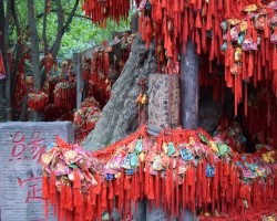 Chengdu et Leshan - 27 octobre au 7 novembre 2016