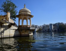 Rajasthan - 15 février au 1er mars 2017