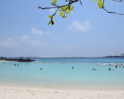 Les Maldives et une dernière longueur dans la mer - 23 au 29 mars 2017